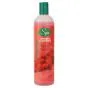 Pet Silk Spa French Wild Raspberry Hundeshampoo - 473 ml.