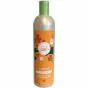 Pet Silk Golden Turmeric Shampoo (Gurkemeje Hundeshampoo)