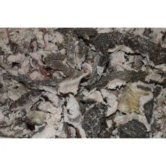 Kragborg - Lammekallun - 5 kg. (denne vare kan kun afhentes i Hillerød)