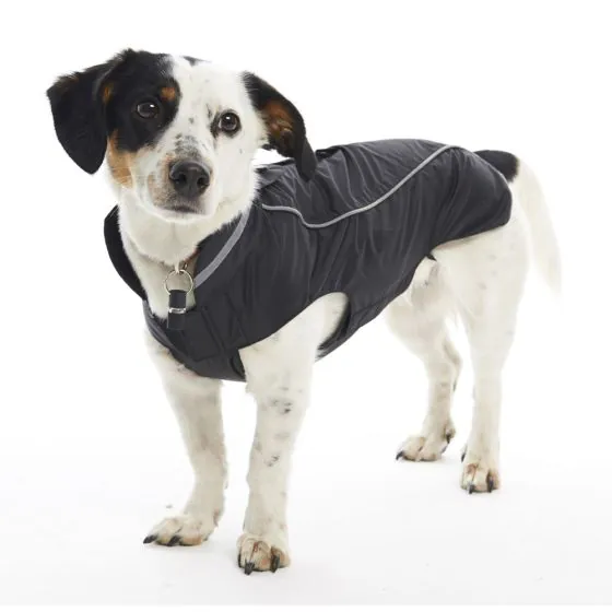 BUSTER Regnjakke Blackberry