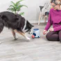 Trixie Hunde Aktivitetslegetøj m. bold og godbid