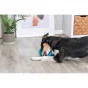 Trixie Lick'n Snack Bowl (aktivitets bowle)