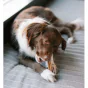 Whimzees Stix - Tandrensere til hunde