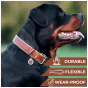 Waudog Soft læderhalsbånd til store hunde - 57 - 71 cm. - Brun