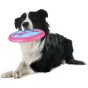 Flamingo - Frisbee Amelia - 22 cm.