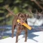 Chuckit - Air Fetch Stick hunde aktivitetslegetøj - Large