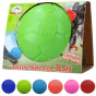 Jolly Soccer Ball (punkterfri hundefodbold)