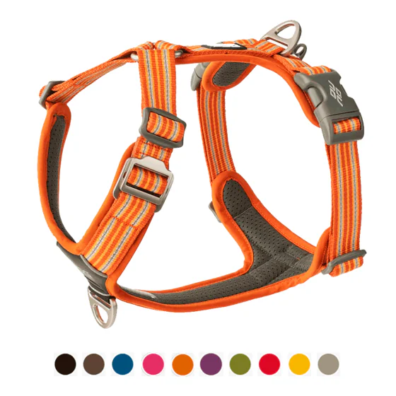 Dog Copenhagen Comfort Walk Air Hundesele