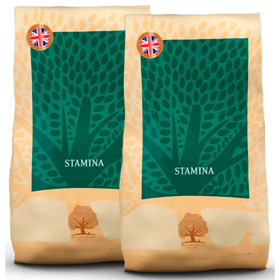 ESSENTIAL HUNDEFODER - STAMINA 10 kg. - STORKØB (UK)