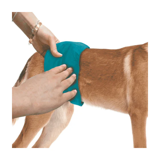 Male Wrap (Mavebånd t. hanhunde)