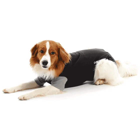 Buster Body Suit EasyGo til hunde, sort/grå