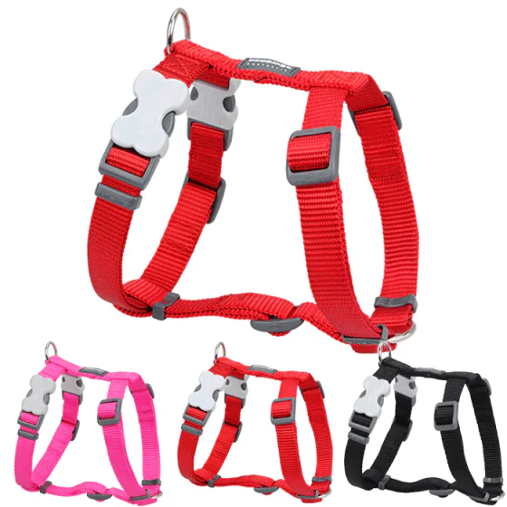 Red Dingo - Sele Classic