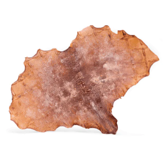  Snack'it Blæksprutteplader - 250 g. (Hundegodbid af blæksprutte)